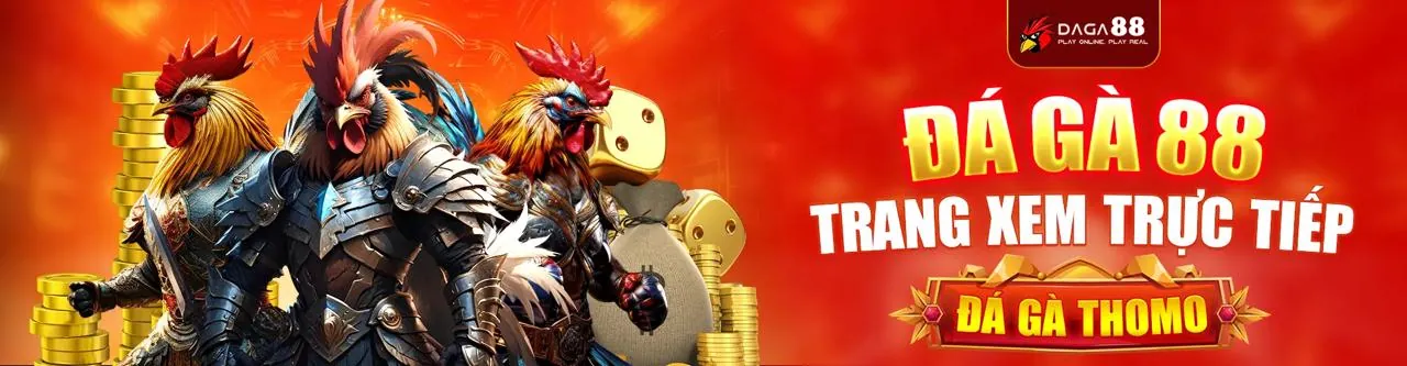 Sân đấu đá gà trực tuyến kịch tính tại acb888 casino